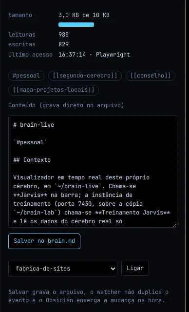 Painel de um sub-cérebro: 3,0 KB de 10 KB usados, 985 leituras, 829 escritas, etiquetas e o conteúdo do arquivo num editor